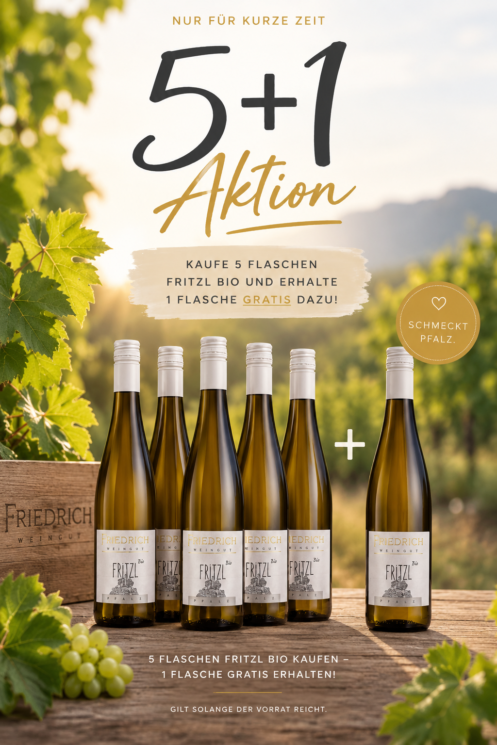 5+1 Fritzl Weiß Weinpaket