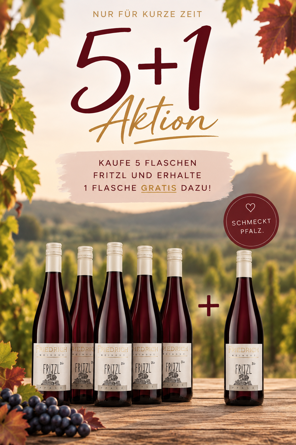5+1 Fritzl Rot Weinpaket