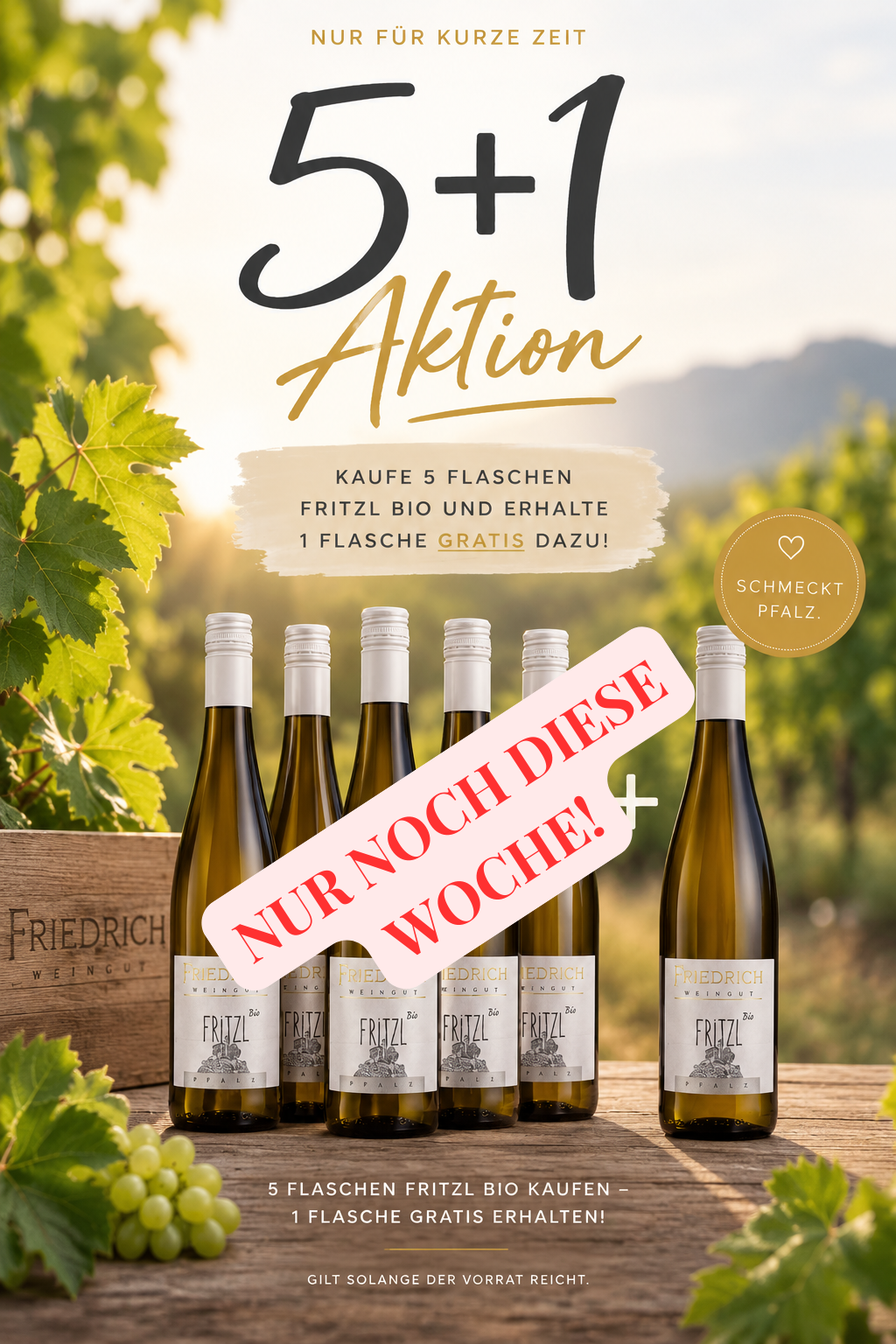 5+1 Fritzl Weiß Weinpaket